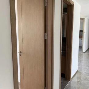 Flush Door-Middle East